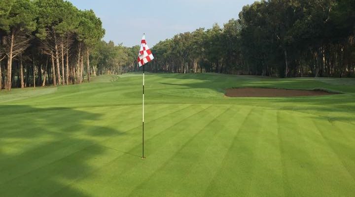 Immaculate greens at Kaya Palazzo Golf course, Belek, Turkey