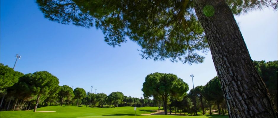 The green on the 15th hole at Maxx Royal Golf Course, Belek, Turkey
