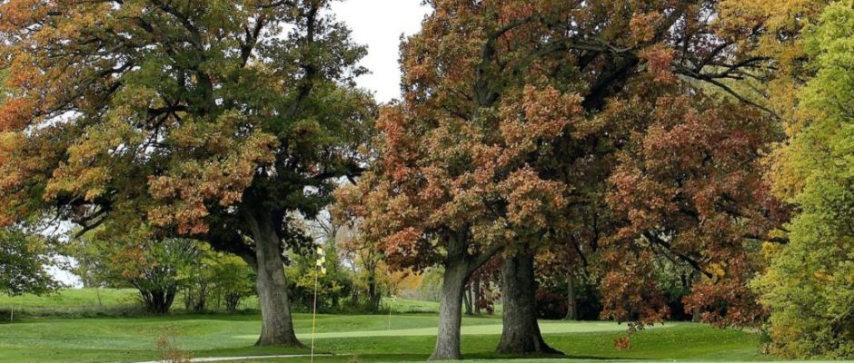 On the green at Monticello Golf Club, Cassina Rizzardi, Italy