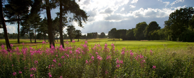 Moortown Golf Club, Leeds — photo 6