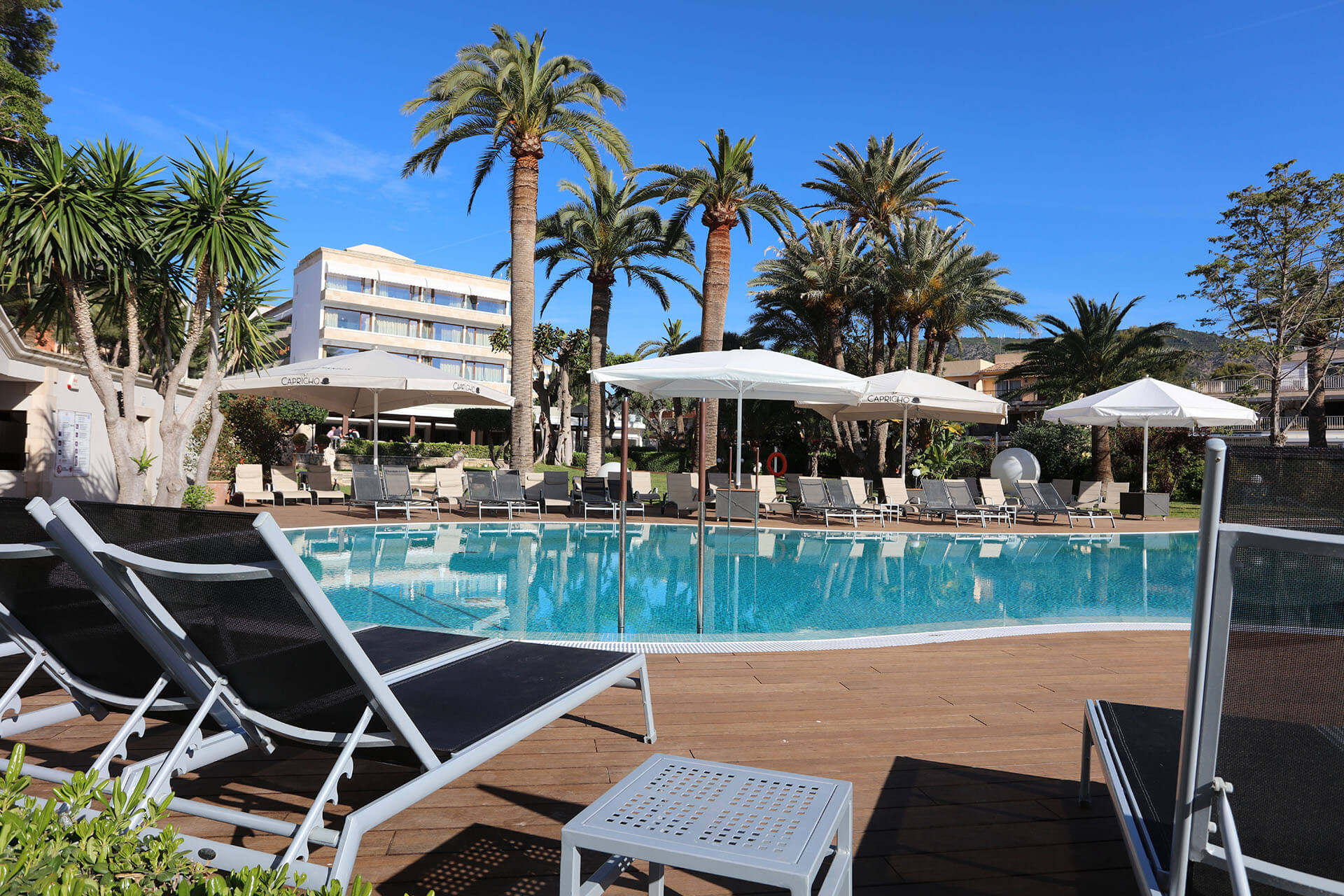 Outdoor pool and palm trees at Son Caliu Spa Oasis Hotel, Mallorca