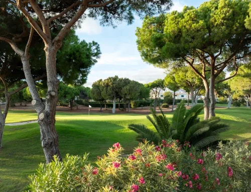 Your Holiday Starts the Moment You Book — And It Should Feel That Way