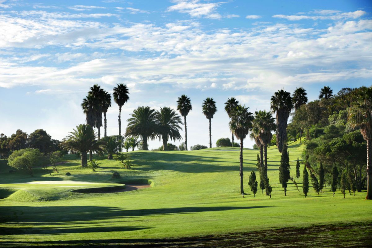 Mature palm trees surround the greens at Real Las Palmas Golf Club