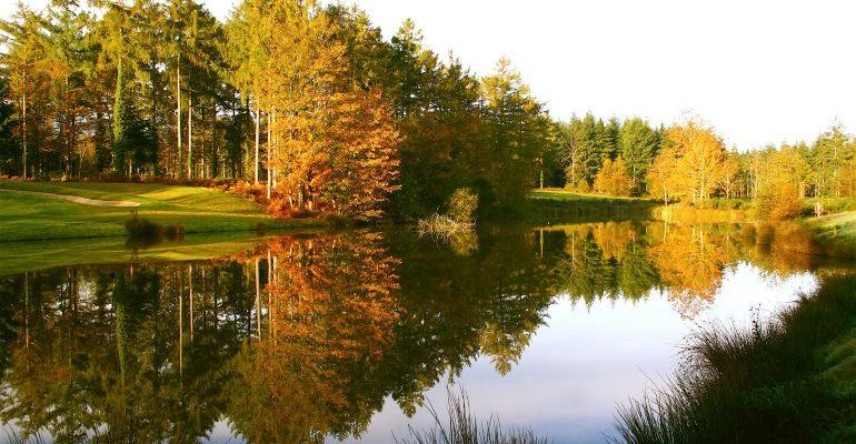 The sixth hole at Remedy Oak Golf Course, Dorset, England