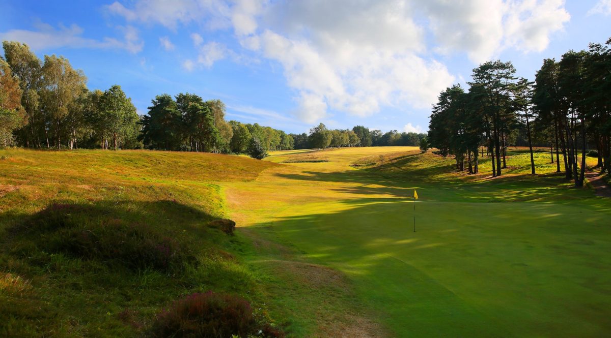 Great approach to the green at Royal Ashdown Forest Golf Club, Sussex, England