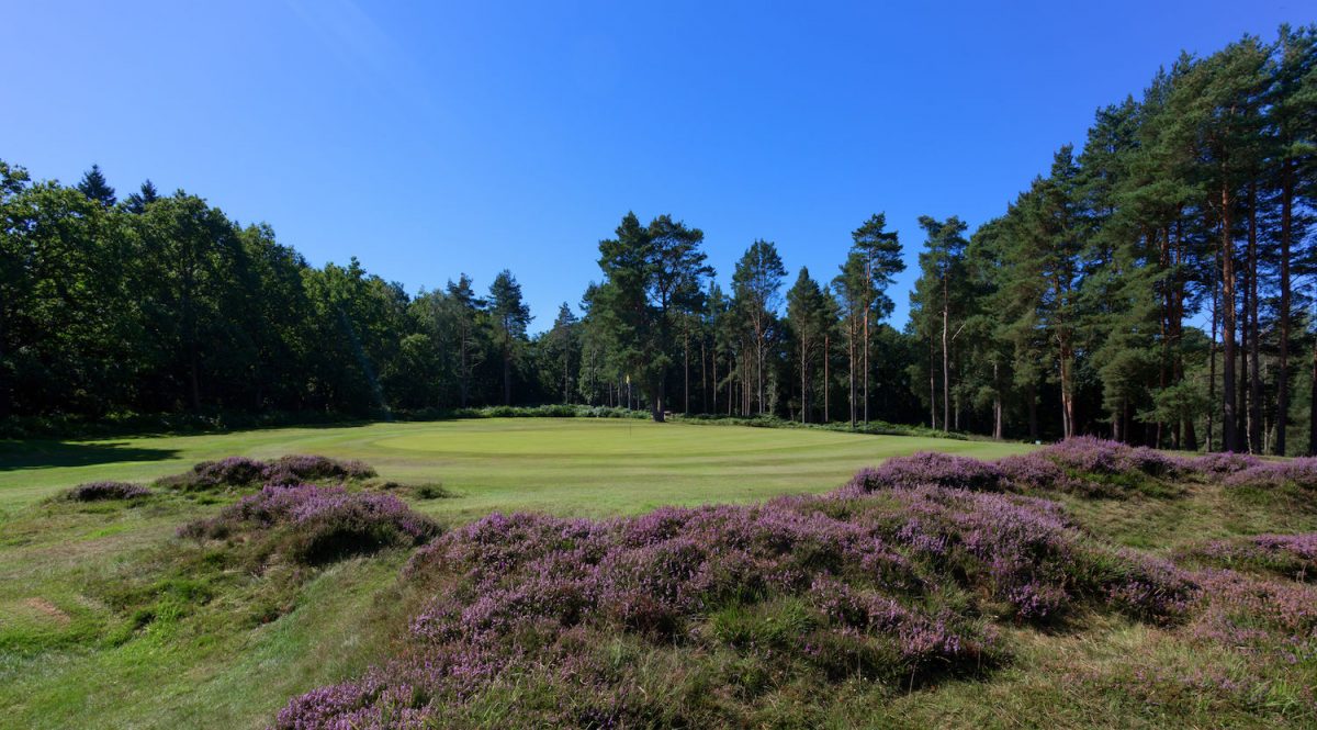 Woodland location for Royal Ashdown Forest Golf Club, Sussex, England