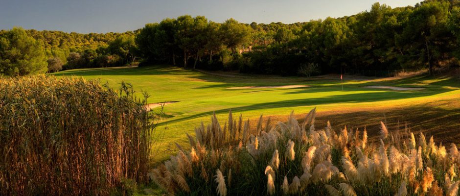 Beautiful landscaping around the green on Santa Ponsa Golf Course, Mallorca