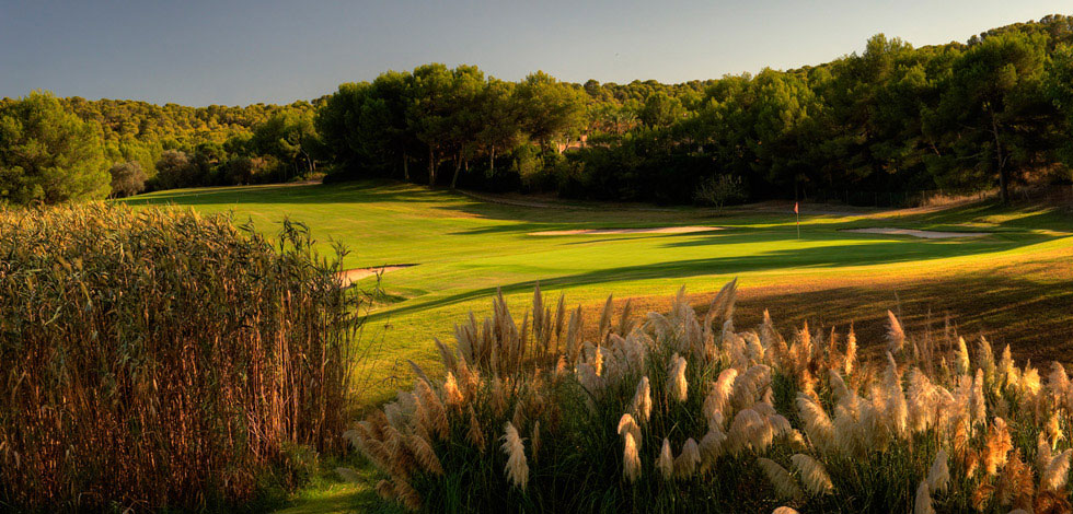 Beautiful landscaping around the green on Santa Ponsa Golf Course, Mallorca