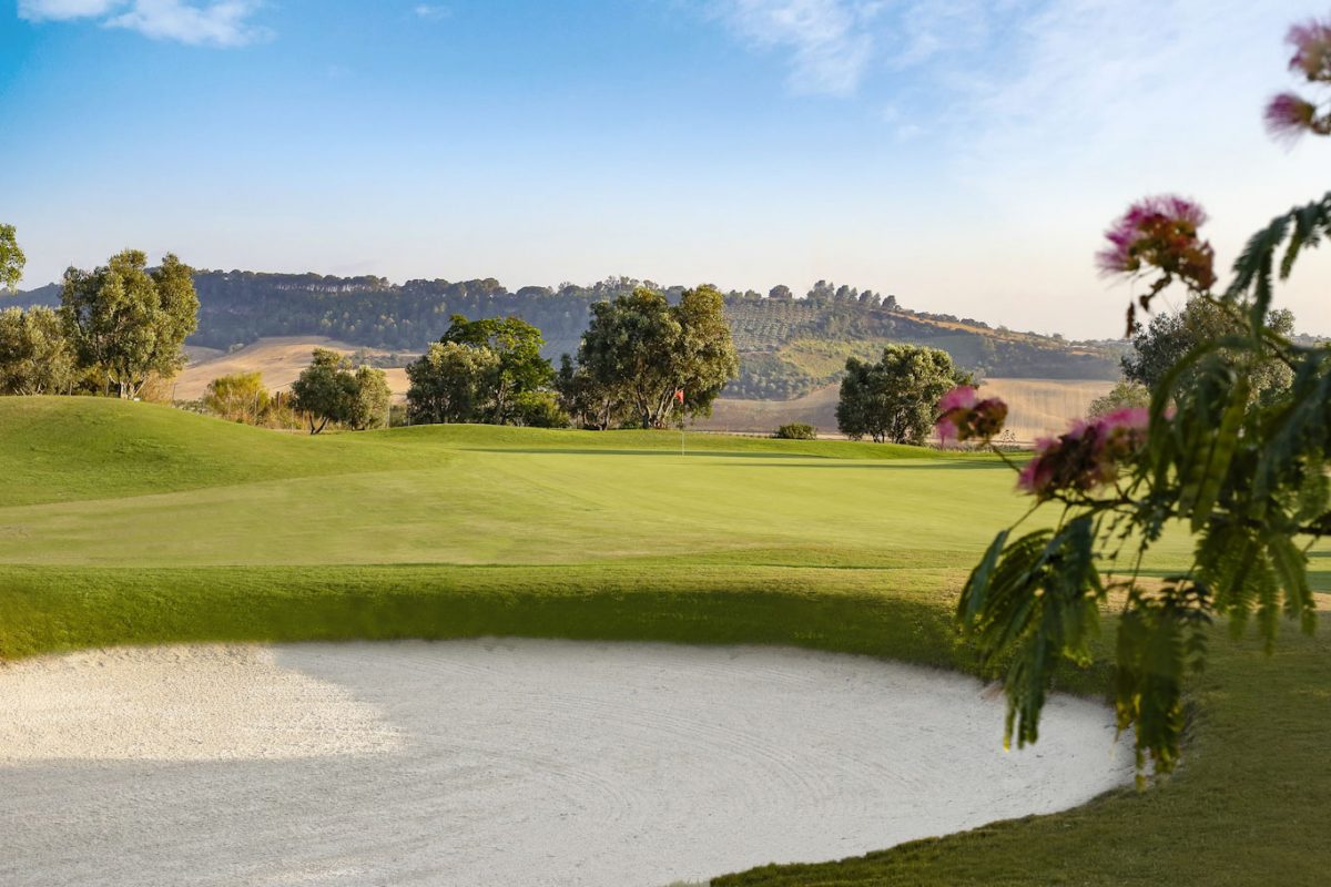 The third green at Sherry Golf Course, Jerez, Spain