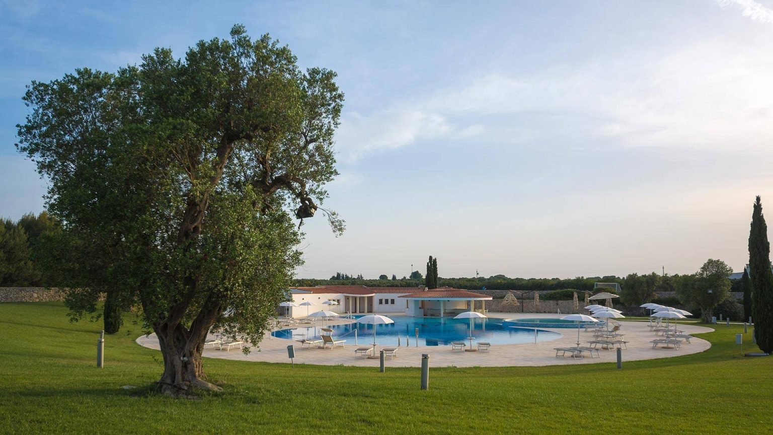 Outdoor pool framed by a centuries-old olive tree at Acaya Golf Resort