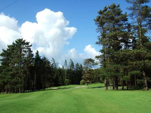 Athenry Golf Course — Ireland golf