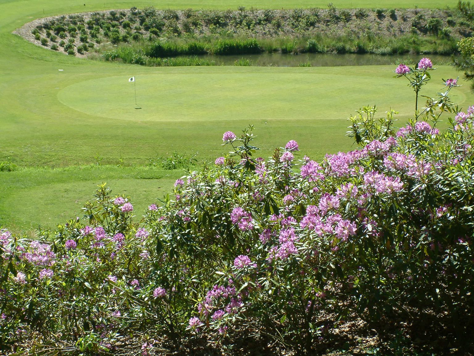 Stunning setting for Royal Bercuit Golf Club, near Waterloo, Belgium