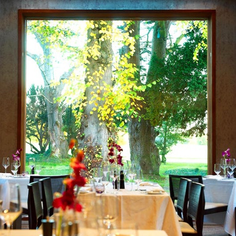 Carton House Hotel — Ireland golf