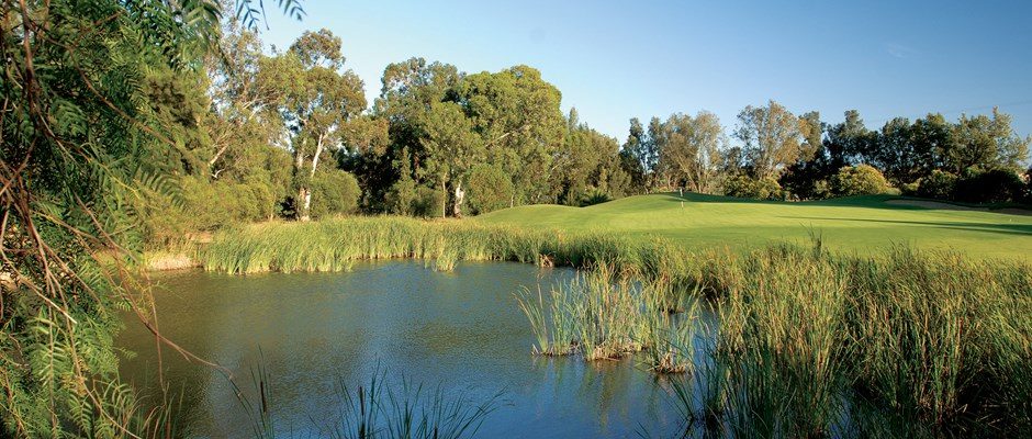 Penina Golf Course-15811