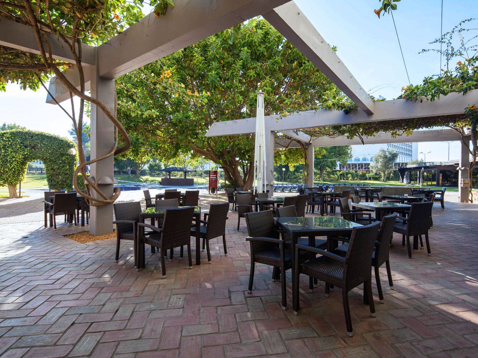 Dom Pedro Vilamoura ****-16236