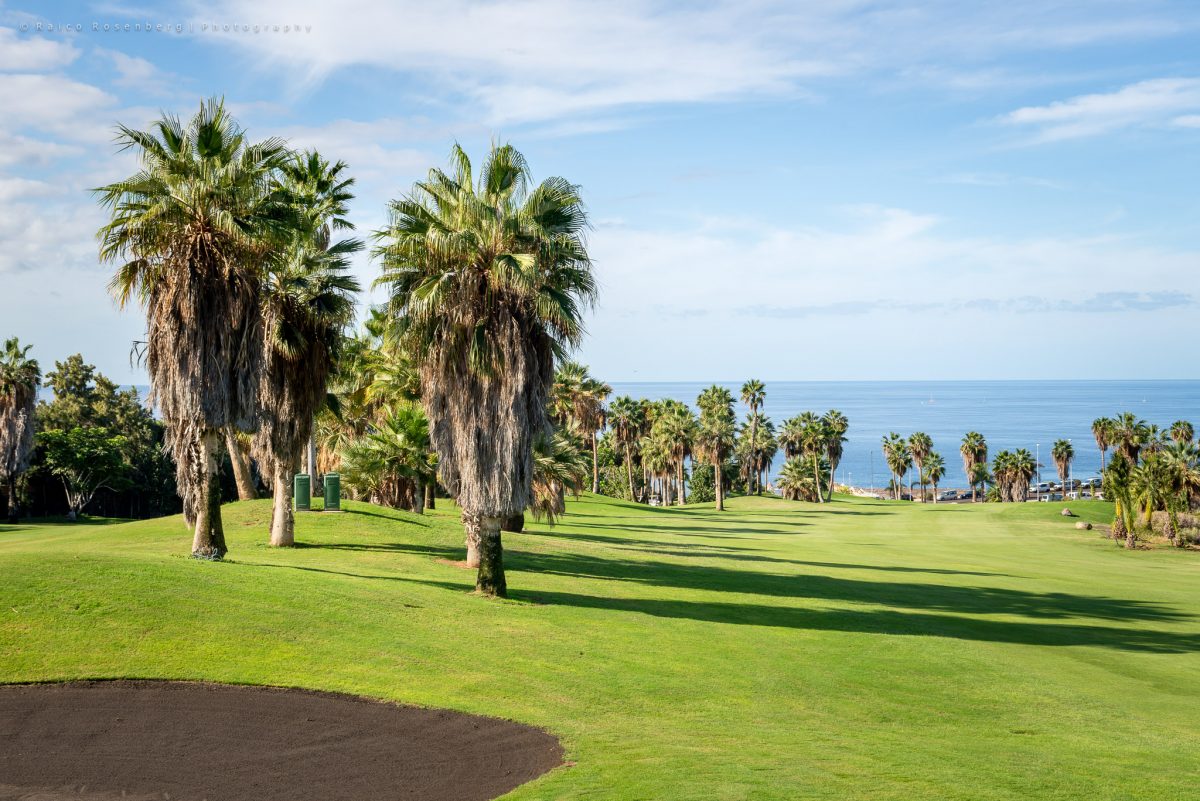 Palm trees line the fairways at Costa Adeje Golf Club, Tenerife