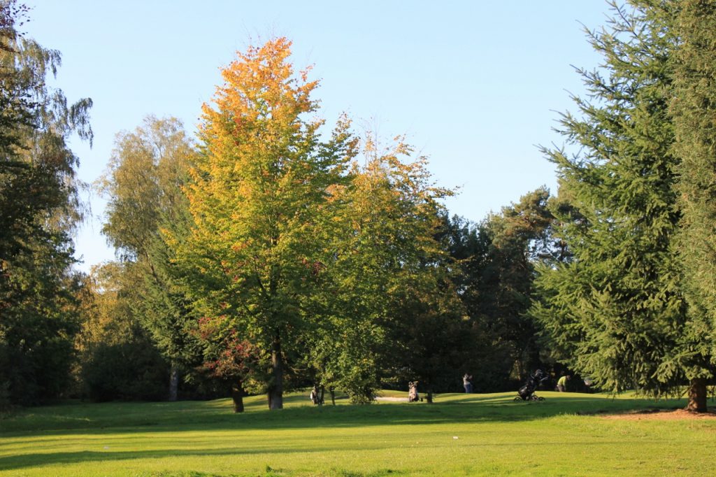 Putting out at Royal Golf Club du Hainaut, near Waterloo, Belgium
