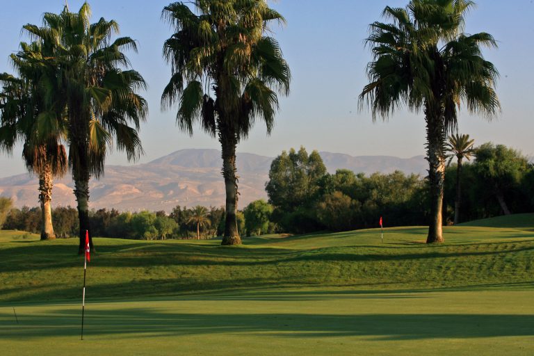 Perfect palms at Golf du Soleil in Agadir, Morocco, with Golf Planet Holidays