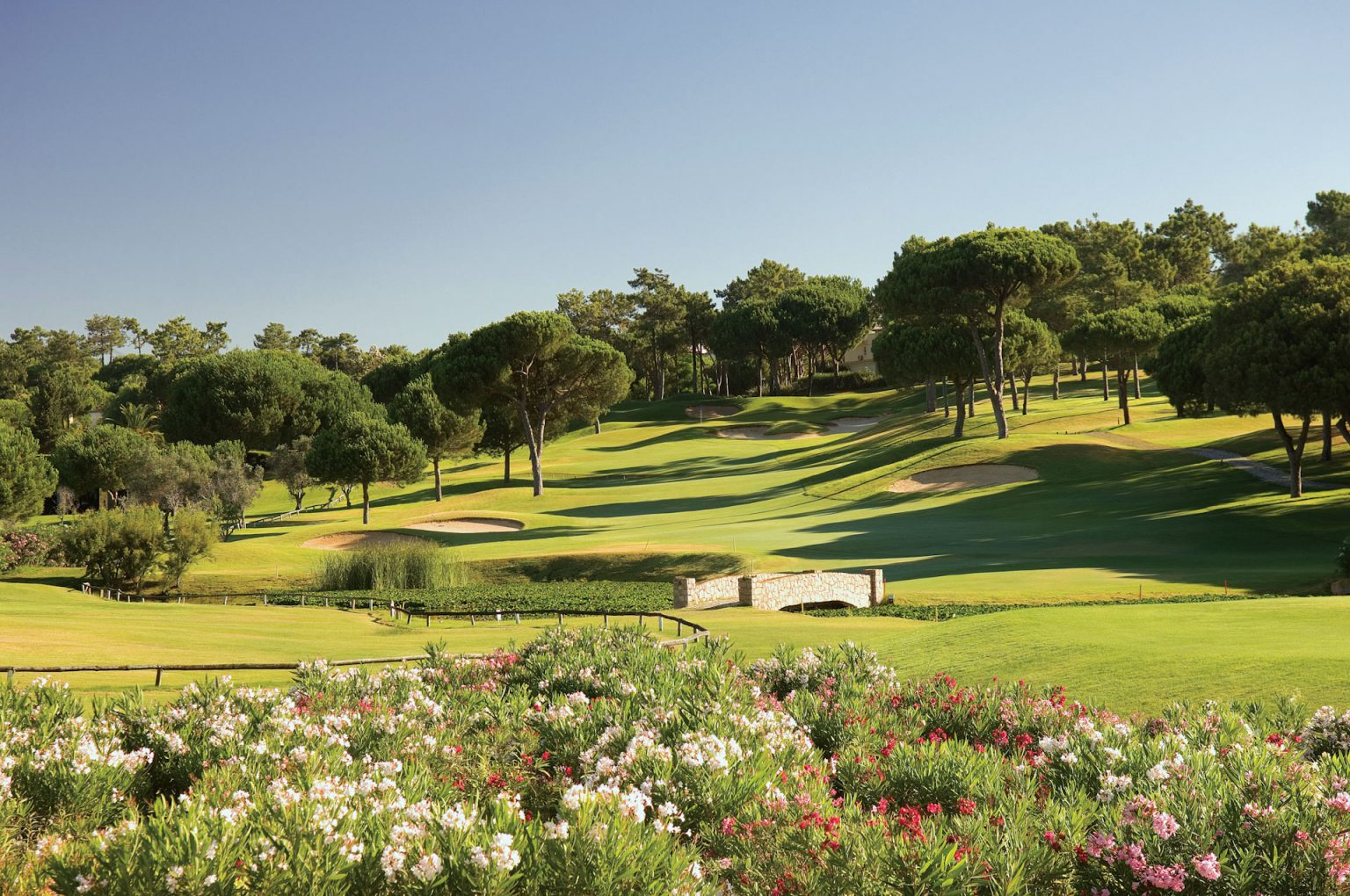 Pinheiros Altos Golf Course-15904