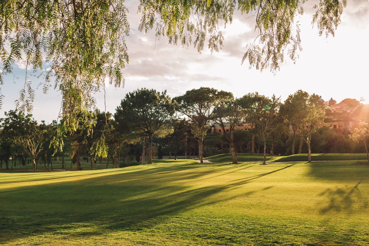 Through to the tee at Rio Real Golf Course, Marbella, Costa del Sol, Spain. Golf Planet Holidays.