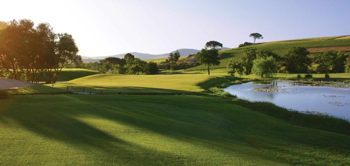 The 11th hole at De Zalze Golf Club, Stellenbosch, South Africa