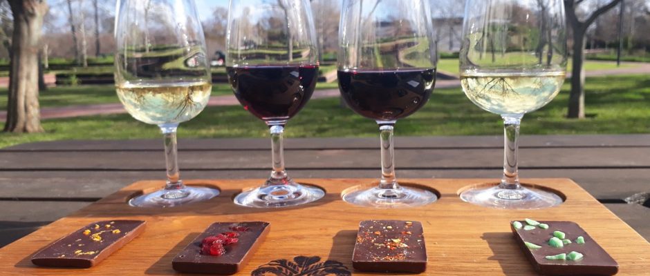 Wine tasting at Erinvale Hotel and Spa, Somerset West, South Africa