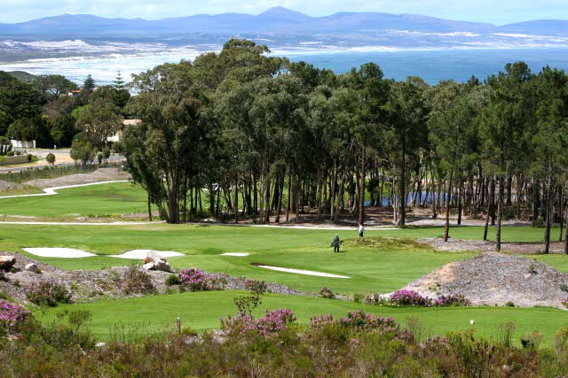 Playing down the fairway at Hermanus Golf Club, South Africa