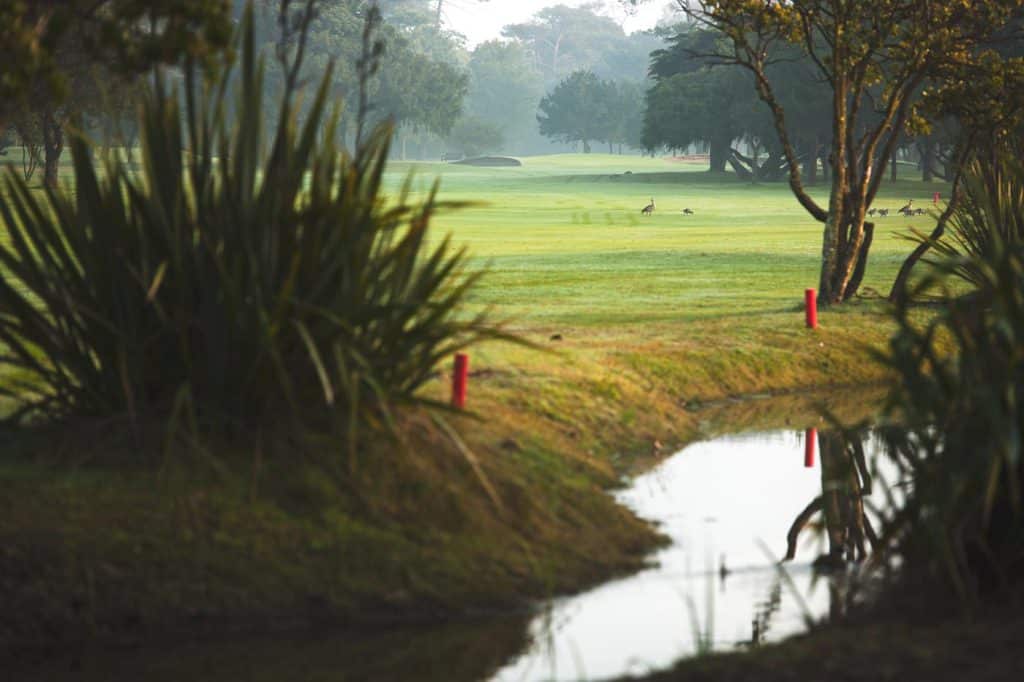 Royal Cape Golf Club, Cape Town, South Africa. Golf Planet Holidays