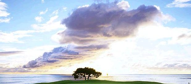 Pebble Beach Resorts – Golf Links Golf Course — photo 12
