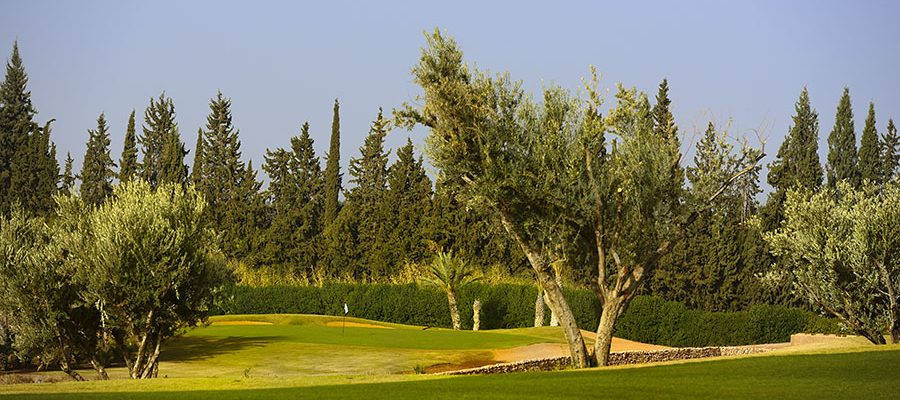 On the course at Assoufied Golf Club, Marrakech, Morocco. Golf Planet Holidays.