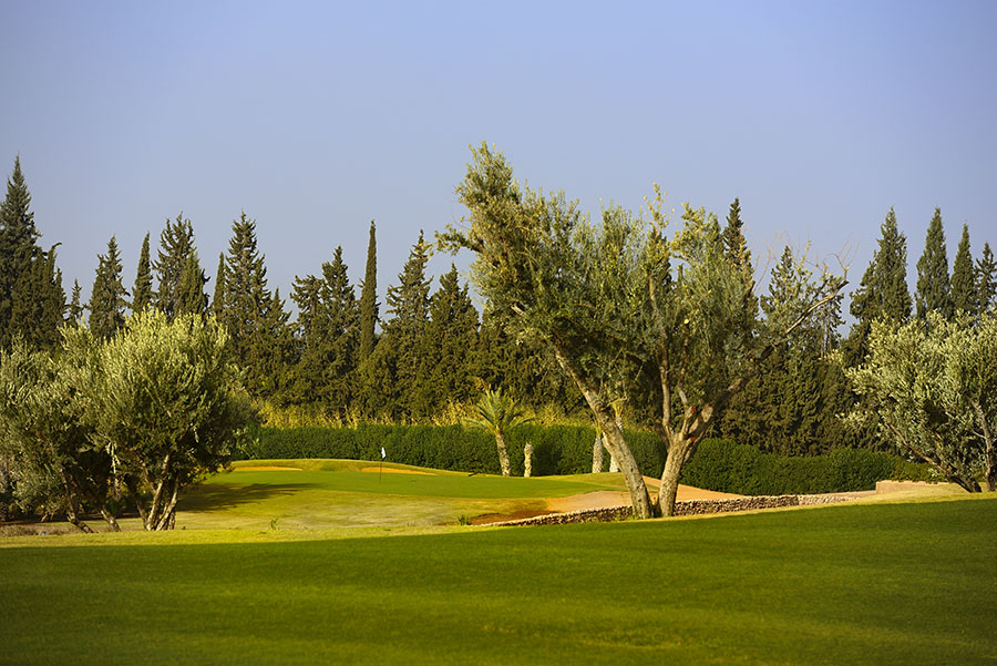 On the course at Assoufied Golf Club, Marrakech, Morocco. Golf Planet Holidays.