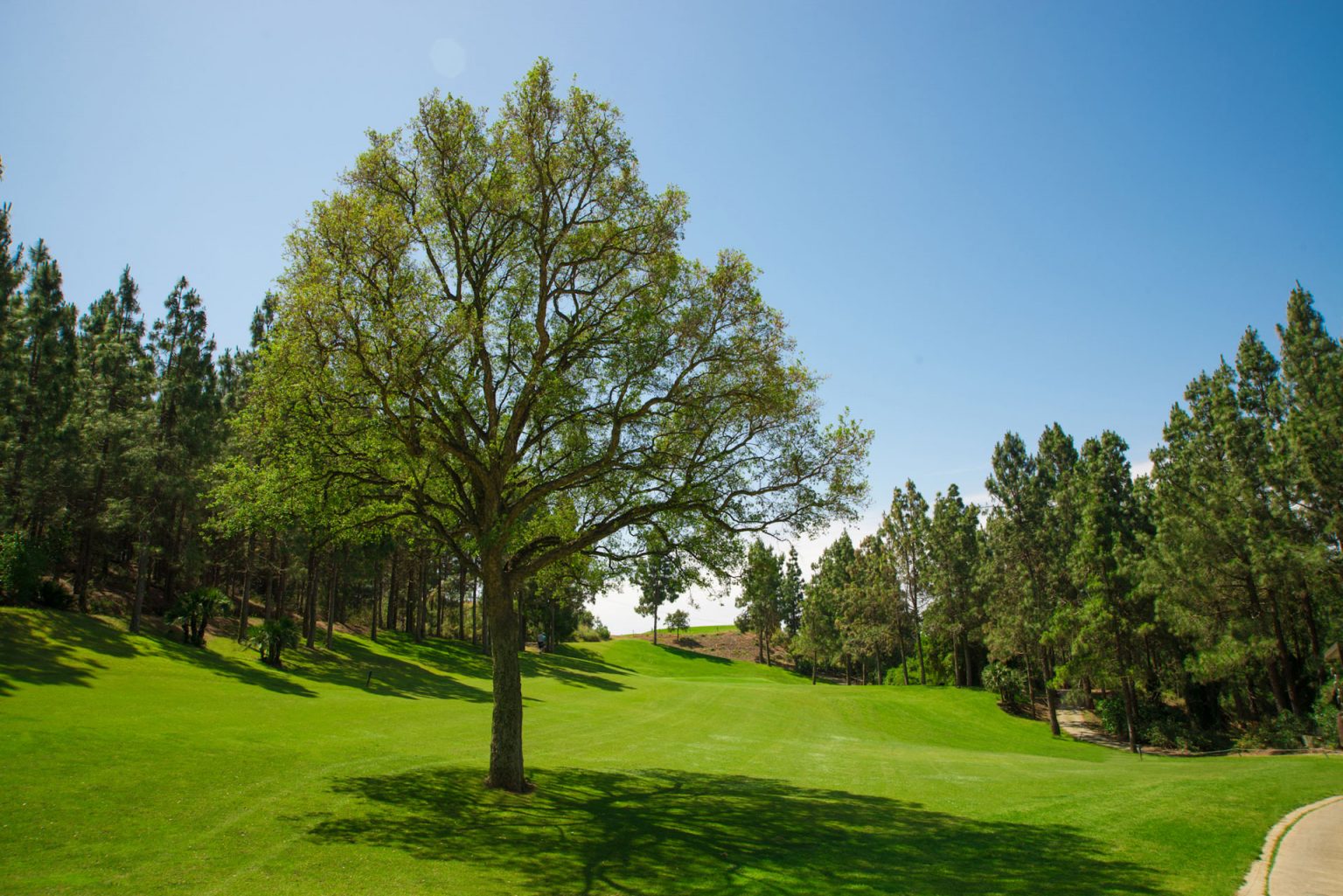 No room for error at Chaparral Golf Course, Marbella, Costa del Sol, Spain. Golf Planet Holidays.