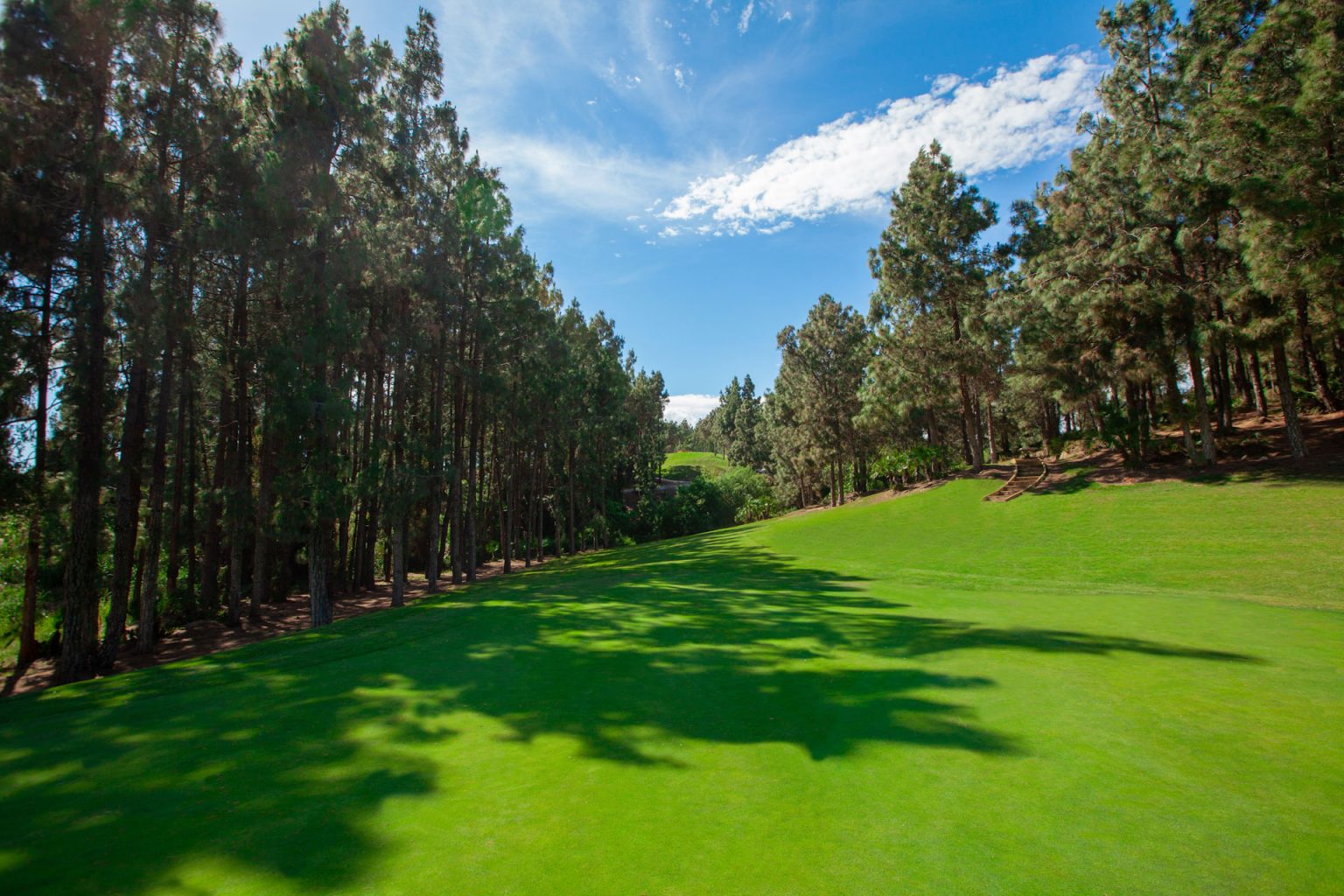 Narrow tree-lined fairways at Chaparral Golf Course, Marbella, Costa del Sol, Spain. Golf Planet Holidays.