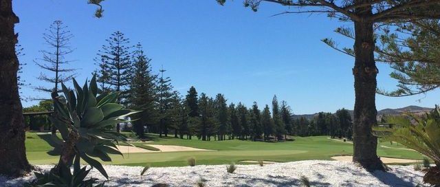 Tree-lined fairways at Mijas Golf, Costa del Sol. Spain. Golf Planet Holidays.