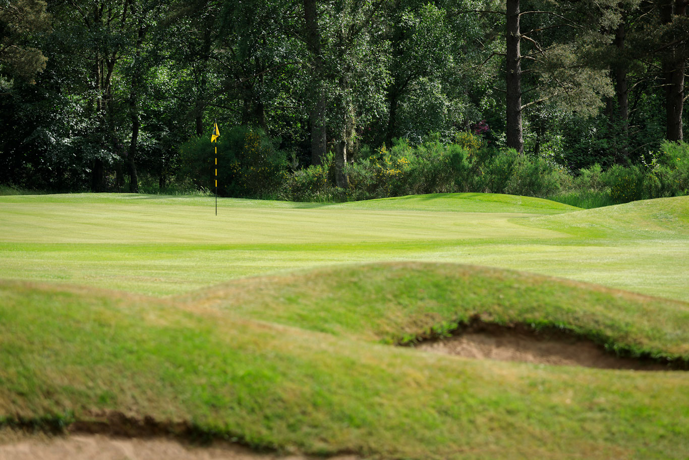 Onto the green at Blairgowrie Golf Club, Perthshire, Scotland