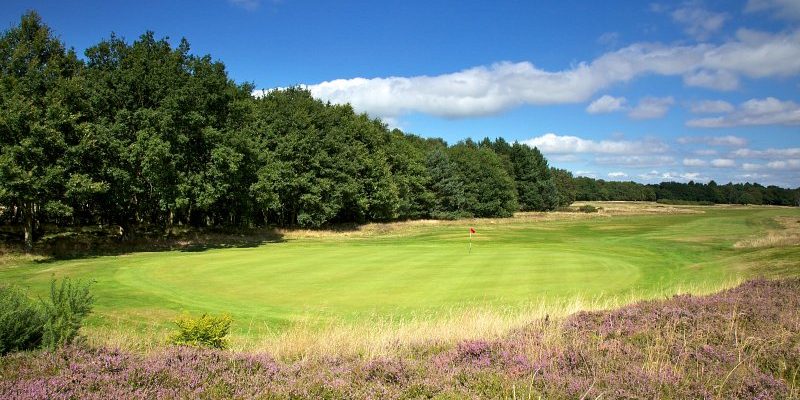 Testing rough at Alwoodley Golf Club, Leeds, England