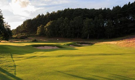 Majestic trees at Holllinwell, Notts Golf club, England