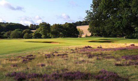 Challenging rough at Hollinwell, Notts Golf Club, England