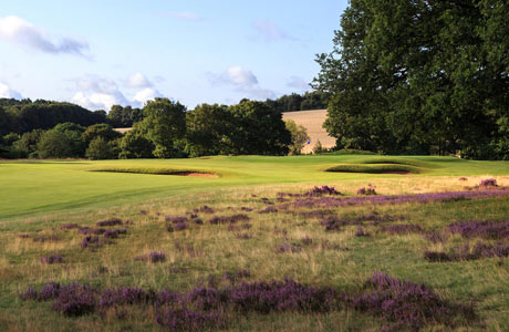 Challenging rough at Hollinwell, Notts Golf Club, England