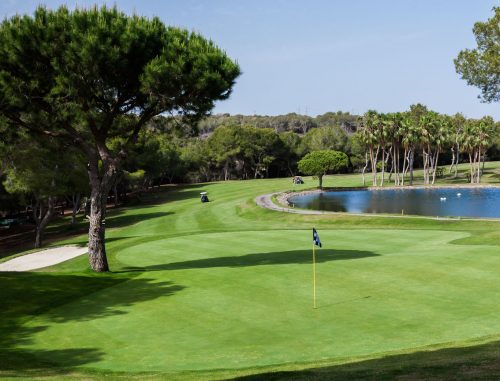 Las Ramblas Golf Course, Finca Resort, Alicante, Spain is immaculately maintained.