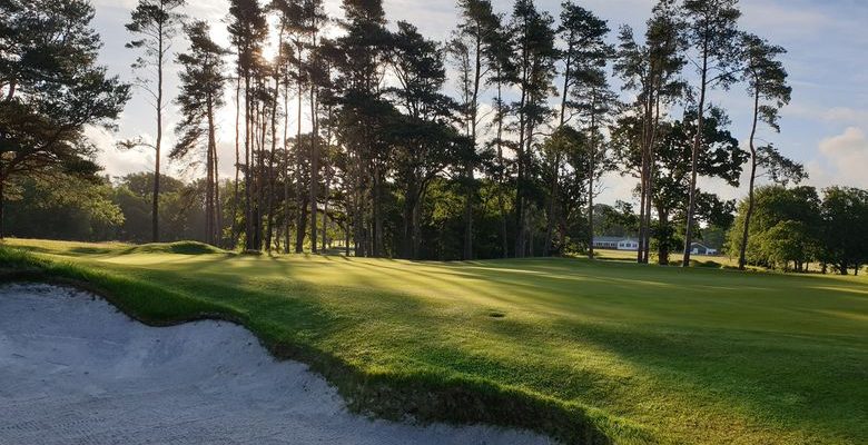 Through the trees at Brokenhurst Manor Golf Club, Poole, Dorset, England
