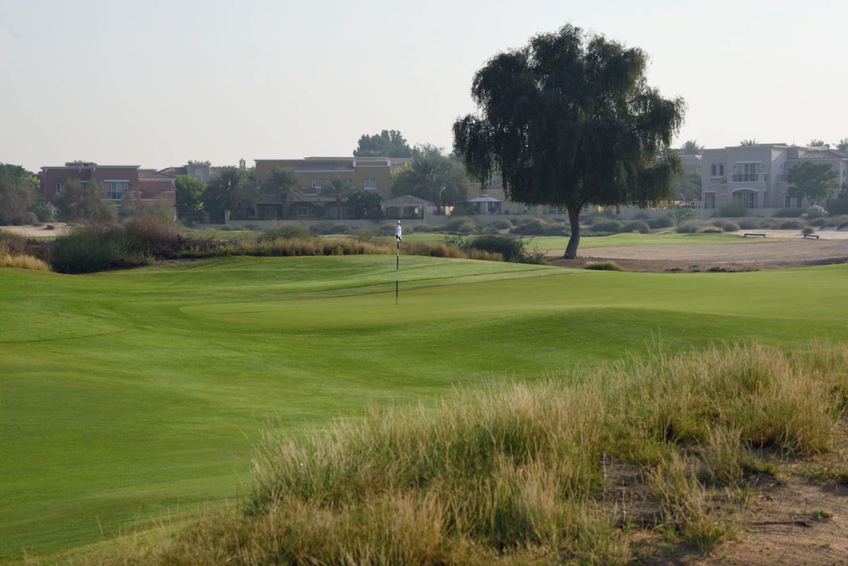 A green at Arabian Ranches Golf Club, Dubai