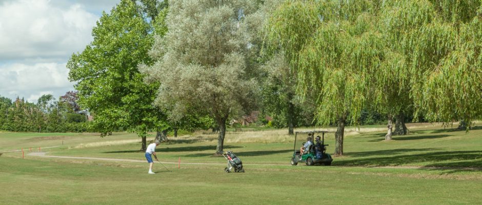 Golfer taking a tricky fairway shot at Bramshaw Golf Club, Hampshire, England