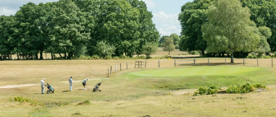 Golfer chipping onto the green at Bramshaw Golf Club, Hampshire, England