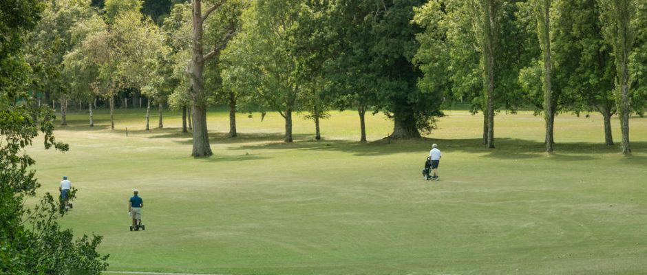 Heading down the fairway at Bramshaw Golf Club, Hampshire, England