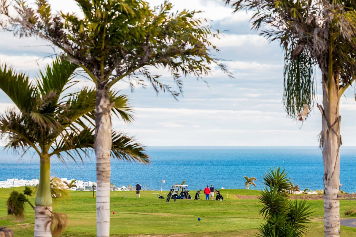 Palm trees at Lanzarote Golf Club, Canary Islands