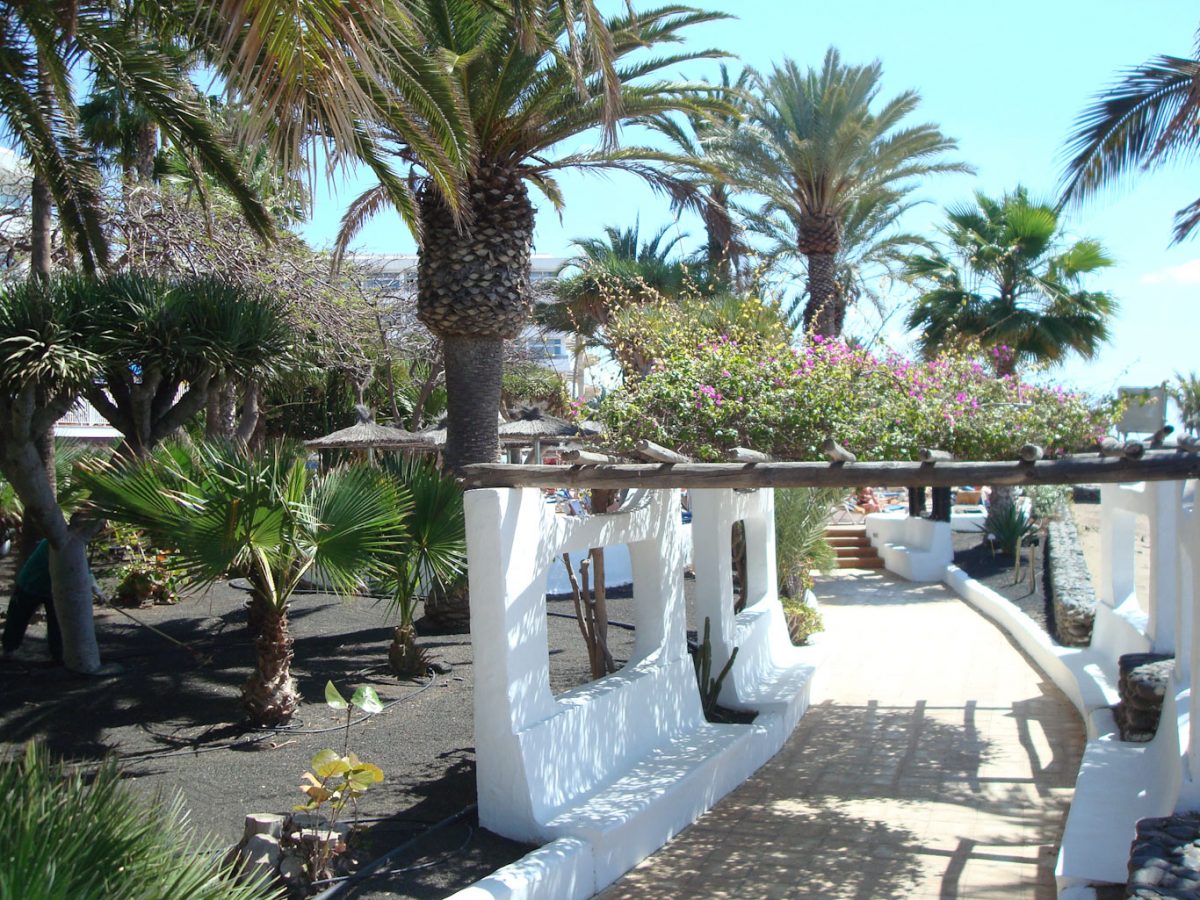 Gardens at Vik Hotel San Antonio, Lanzarote