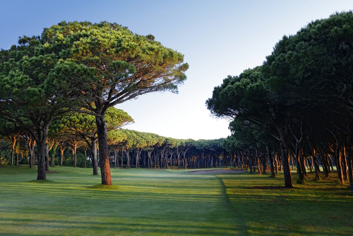 A tricky shot to the green at Platja de Pals Golf course, Costa Brava, Spain