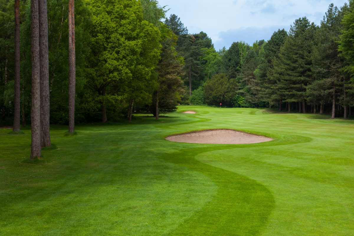 Immaculate fairways at Forest Pines golf course, Lincolnshire, England