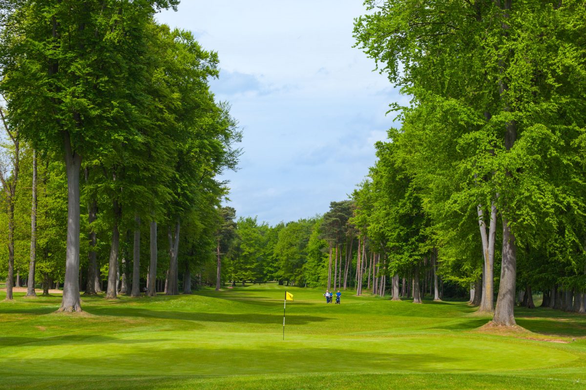 Tree-lined fairways at Forest Pines golf course, Lincolnshire, England